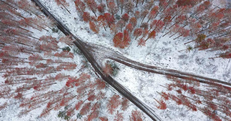 Multi asset: will fiscal policy catch investors off guard?